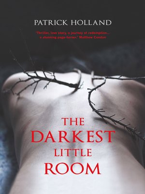cover image of The Darkest  Little Room